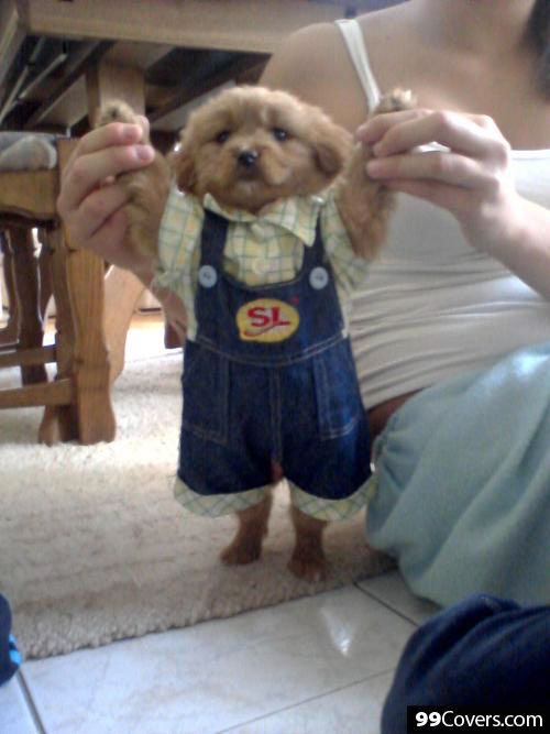 puppy-in-overalls
