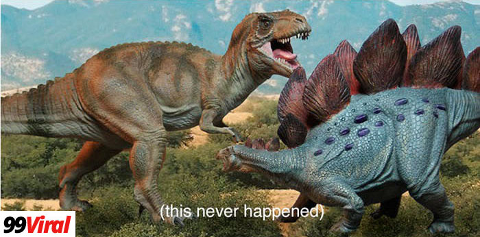 2. There was more time between the Stegosaurus and the Tyrannosaurus Rex than between Tyrannosaurus Rex and you.